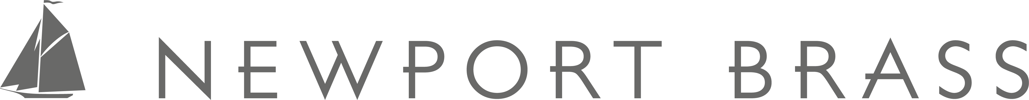 NewportBrass Beauty Defined